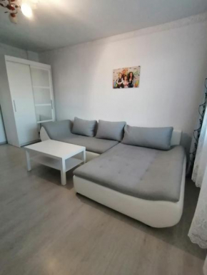 Apartament Central Sulina